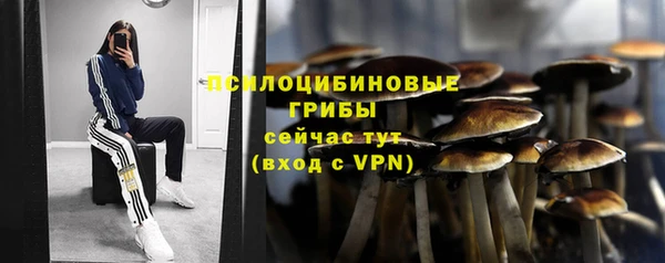 скорость Балахна