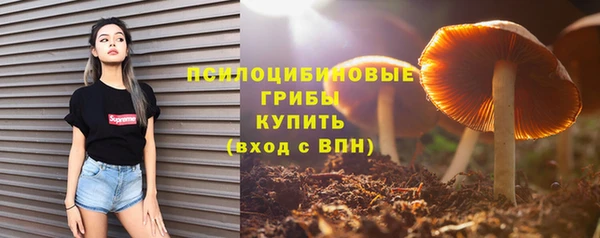 тгк Аркадак
