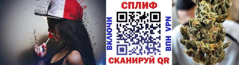Каннабис SATIVA & INDICA  Купить закладки  Сунжа 